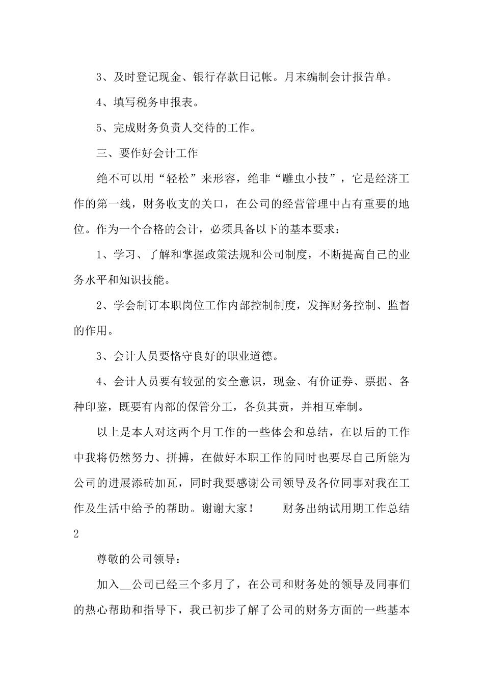 财务出纳试用期工作总结范文_第2页