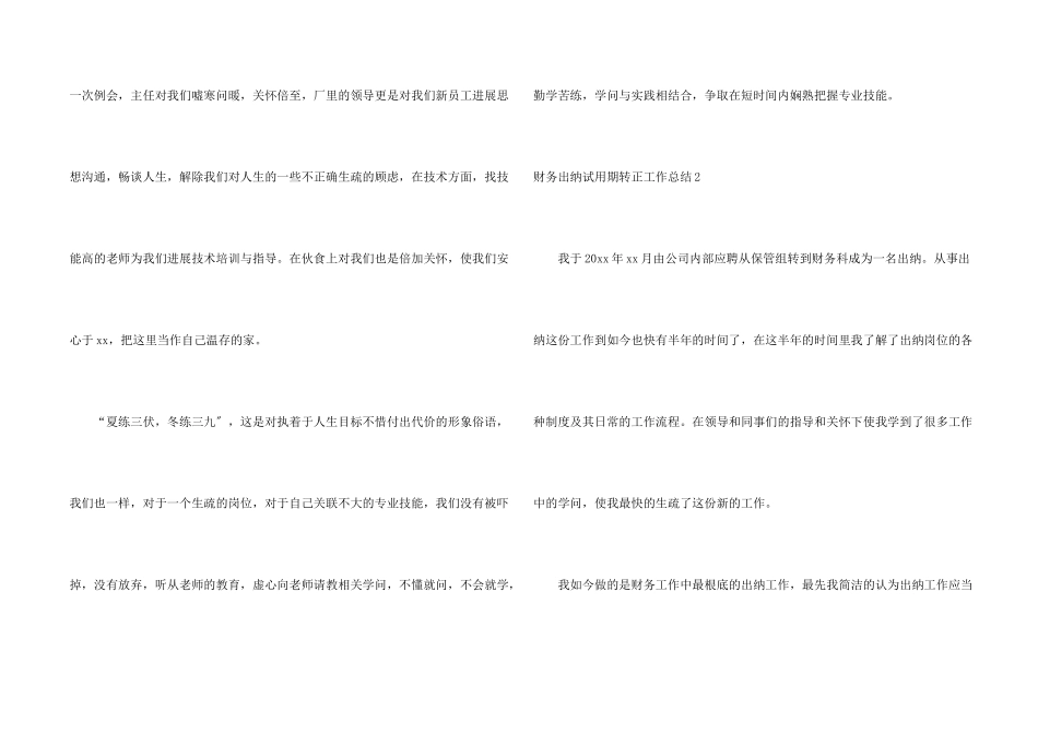 财务出纳试用期转正工作总结5篇_第2页
