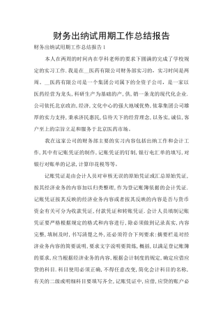财务出纳试用期工作总结报告