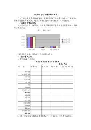 财务分析格式