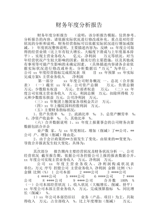 财务年度分析报告