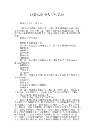 财务总监个人工作总结