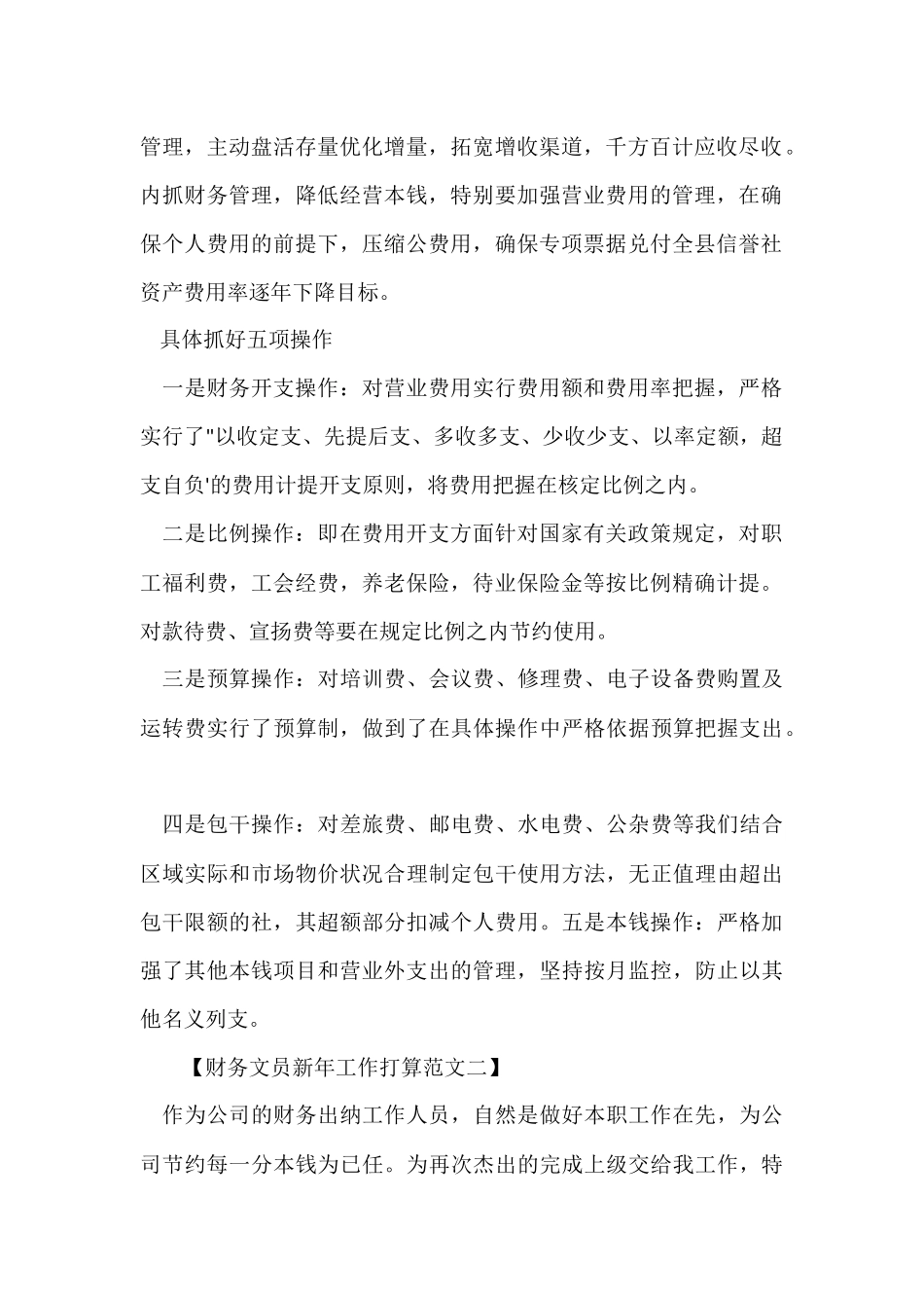 财务文员新年工作计划_第2页