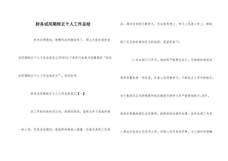 财务试用期转正个人工作总结-1_第1页