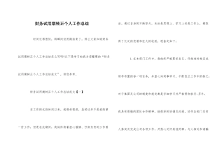 财务试用期转正个人工作总结-1