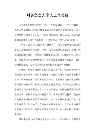 财务负责人个人工作总结