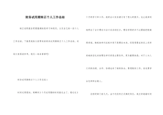 财务试用期转正个人工作总结