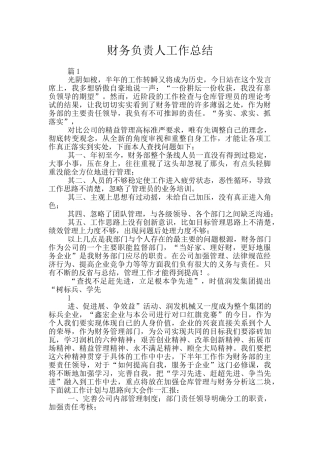 财务负责人工作总结