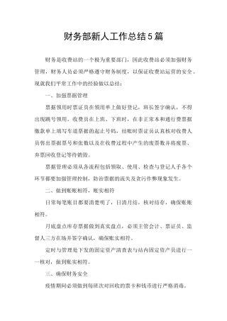 财务部新人工作总结5篇