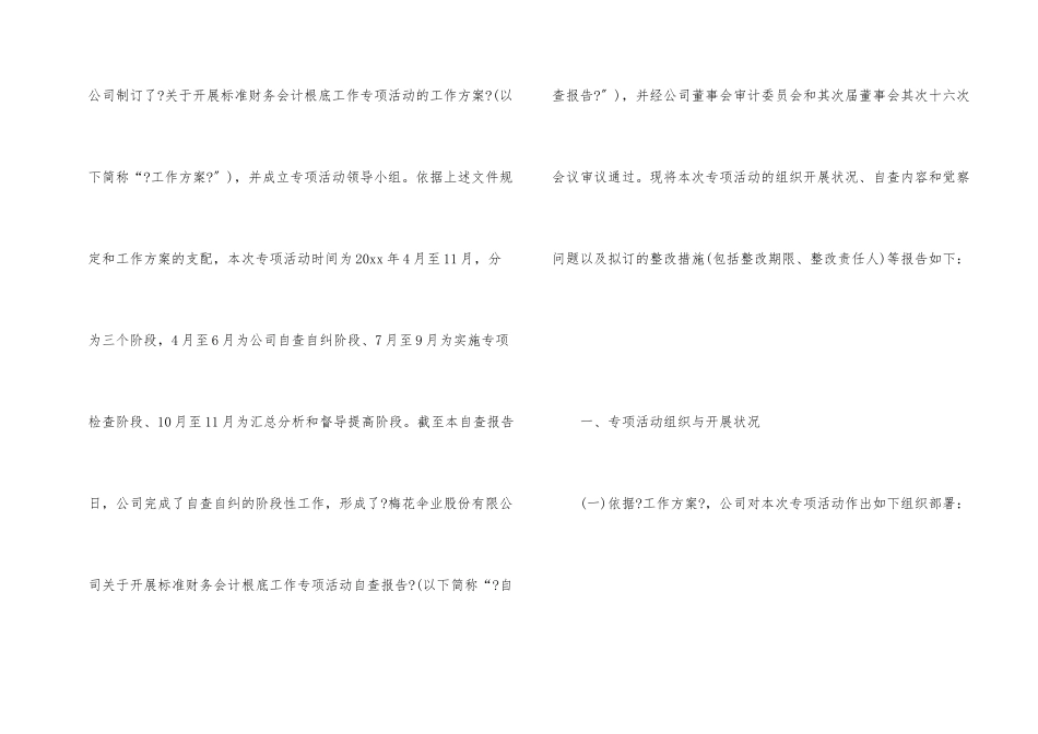 财务风险自查报告_第2页