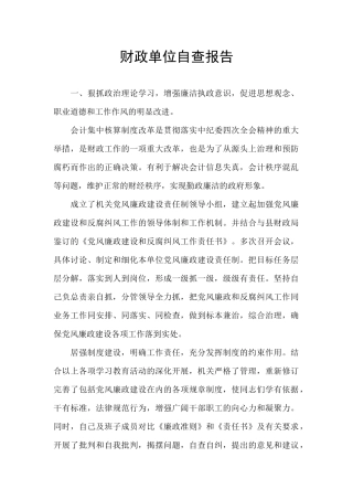 财政单位自查报告