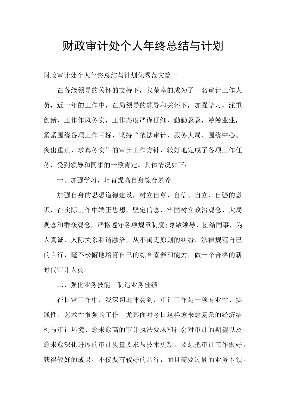 财政审计处个人年终总结与计划_第1页