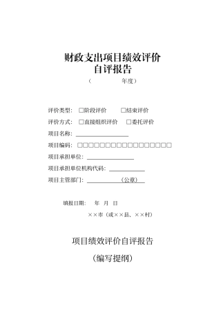 财政支出项目绩效评价自评报告