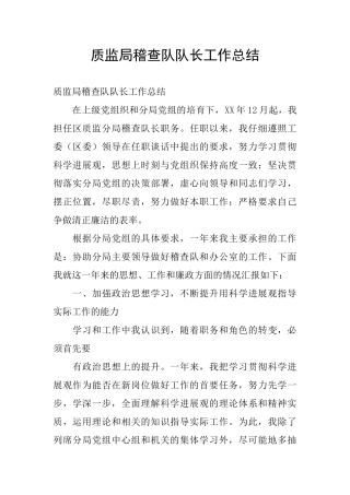 质监局稽查队队长工作总结