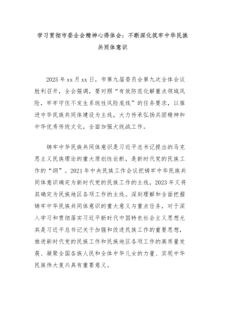 学习贯彻市委全会精神心得体会：不断深化筑牢中华民族共同体意识
