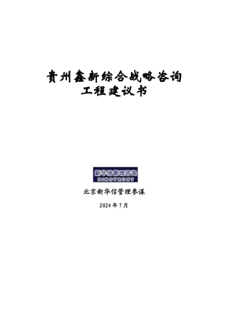 贵州鑫新综合战略项目建议书