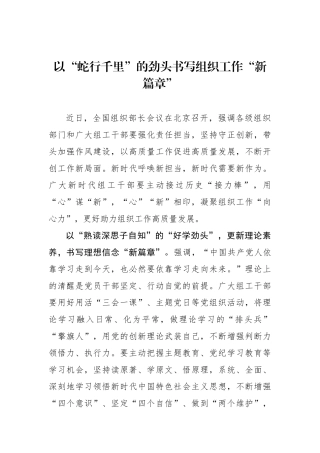 以“蛇行千里”的劲头书写组织工作“新篇章”