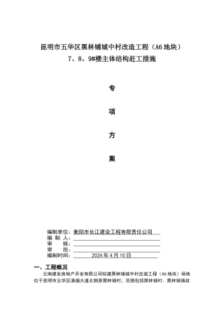 赶工措施专项方案