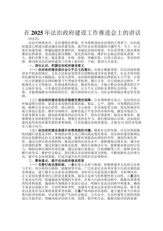 在2025年法治政府建设工作推进会上的讲话
