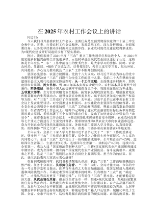 在2025年农村工作会议上的讲话