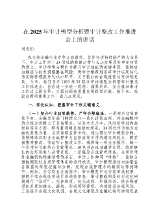 在2025年审计模型分析暨审计整改工作推进会上的讲话