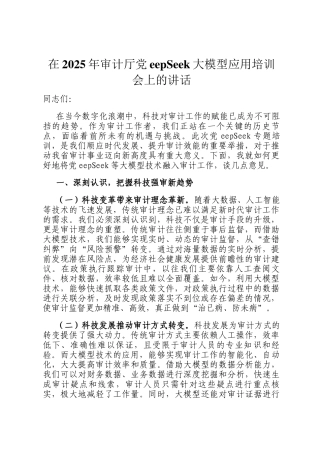 在2025年审计厅DeepSeek大模型应用培训会上的讲话