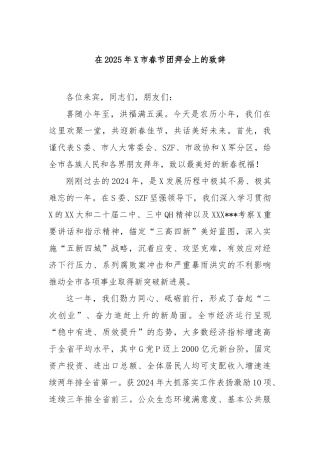 在2025年市春节团拜会上的致辞