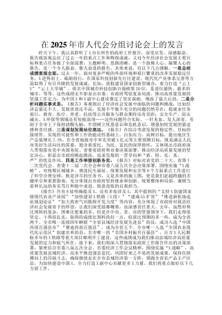 在2025年市人代会分组讨论会上的发言