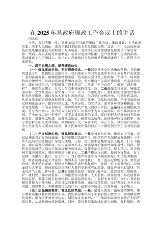 在2025年县政府廉政工作会议上的讲话