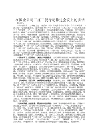 在国企公司三抓三促行动推进会议上的讲话