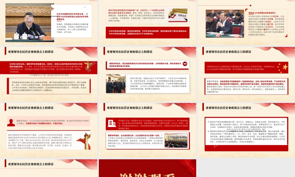 在民营企业座谈会的讲话