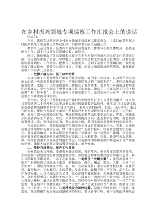 在乡村振兴领域专项巡察工作汇报会上的讲话