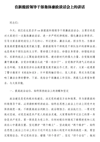 在新提拔领导干部集体廉政谈话会上的讲话