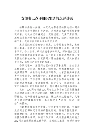 支部书记点评组织生活的点评讲话