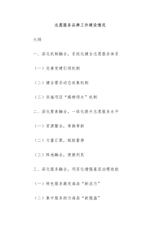 志愿服务品牌工作建设情况