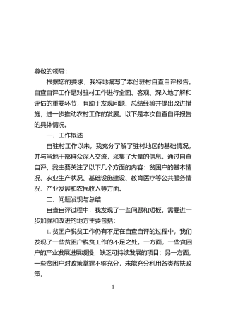 驻村自查自评报告【资深秘书】