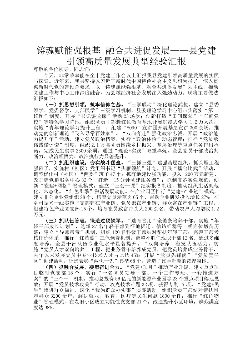 铸魂赋能强根基 融合共进促发展——县党建引领高质量发展典型经验汇报_第1页