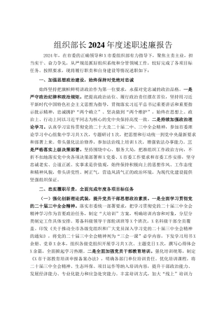 组织部长2024年度述职述廉报告