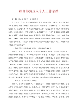 综合部负责人个人工作总结
