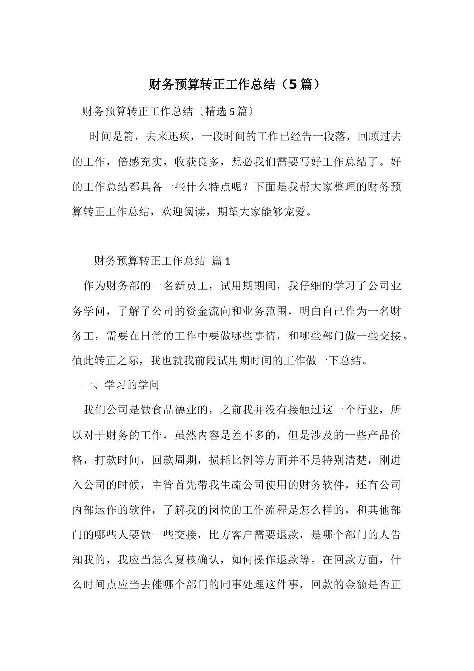 财务预算转正工作总结（5篇）_第1页