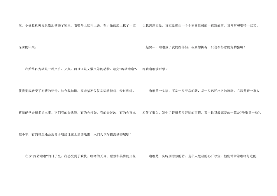 跑猪噜噜读后感_第2页