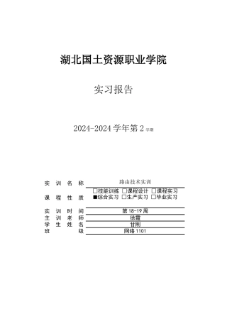 路由技术实训报告