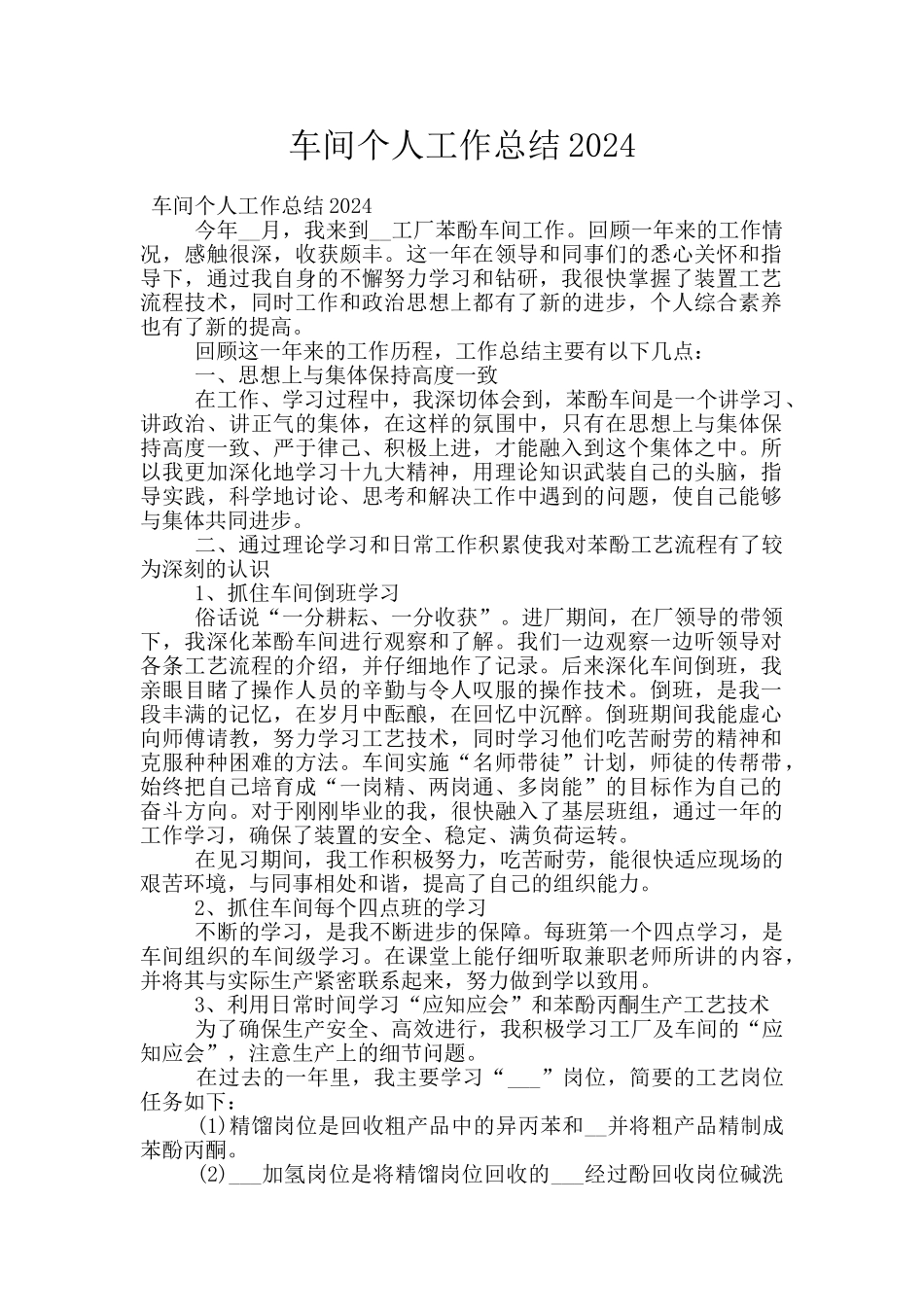 车间个人工作总结2024_第1页