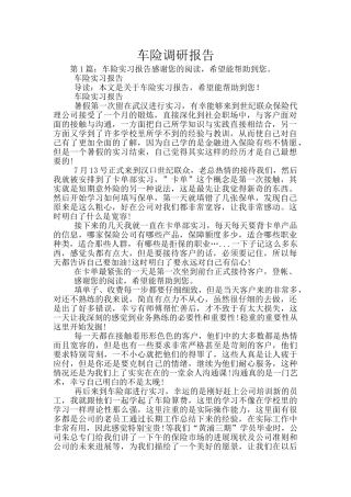 车险调研报告