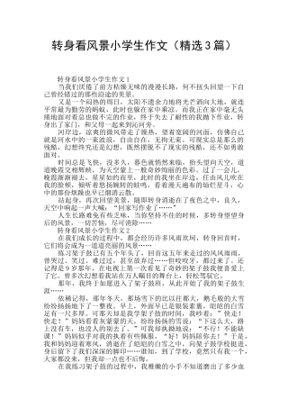 转身看风景小学生作文
