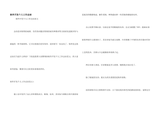 软件开发个人工作总结