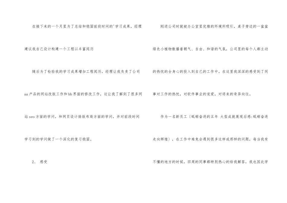 软件设计师工作总结_第2页