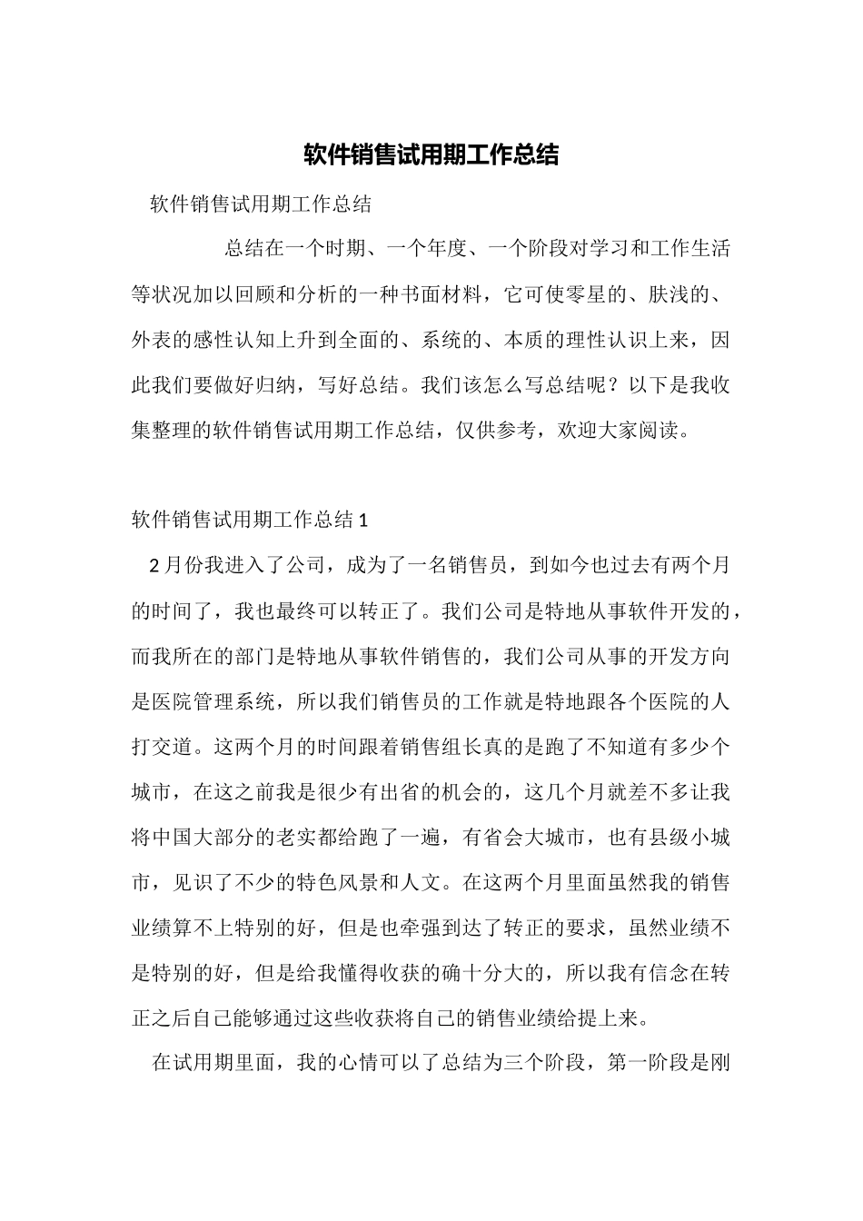 软件销售试用期工作总结_第1页