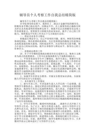 辅导员个人考察工作自我总结精简版