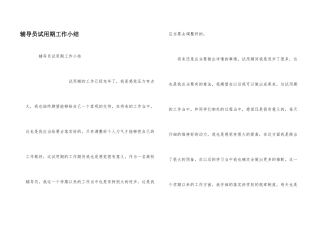 辅导员试用期工作小结